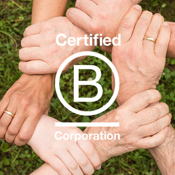 Our Favourite B-Corp Brands