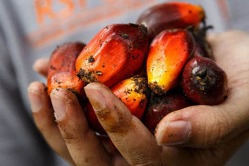 Our Commitment to RSPO