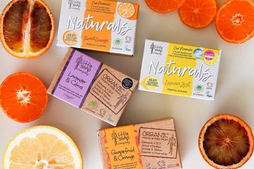 Everything Citrus: 5 Little Benefits you Need to Know