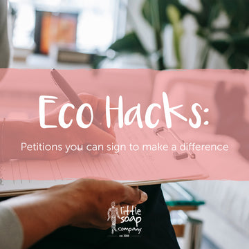Eco Hacks #5: Signing Petitions