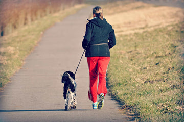 Three Easy Ways to Get Fit with Your Dog
