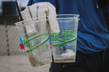 What Is Greenwashing and Why Does It Matter