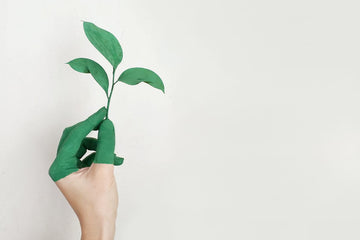 Misleading 'green' products make us see red. But why does it happen and how can you spot them?