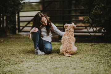 Three Favourite Autumn Walks in the Cotswolds (perfect for little beasts)