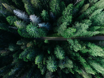 How to Make Your Travel Greener Post Lockdown