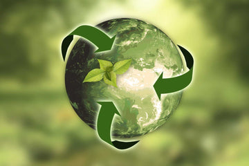 Three Easy Ways to Up your Recycling Game in 2020
